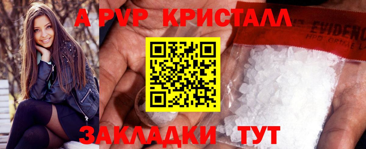 Alfa_PVP  APVP крисы CK  Вход с VPN  Надым  Alfa_PVP СК 