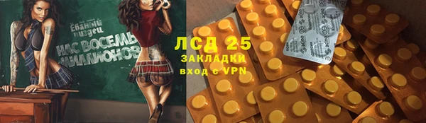 ПСИЛОЦИБИНОВЫЕ ГРИБЫ Михайловка