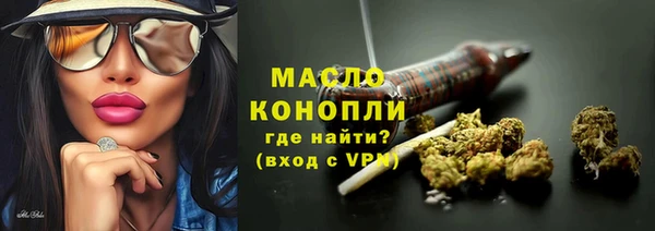 молекула духа Михайлов