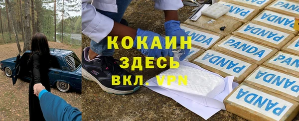 ПСИЛОЦИБИНОВЫЕ ГРИБЫ Михайловка