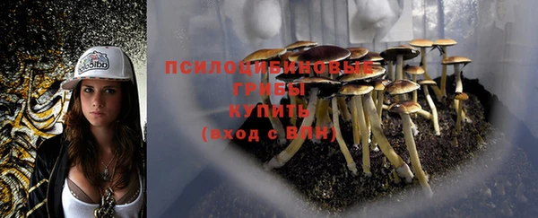 скорость mdpv Медвежьегорск