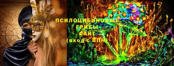 ПСИЛОЦИБИНОВЫЕ ГРИБЫ Михайловка