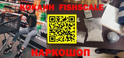 гашик Камышлов