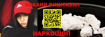 гашик Камышлов