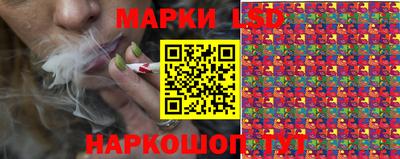 гашик Камышлов