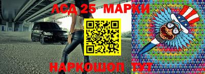 гашик Камышлов