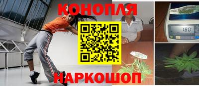 гашик Камышлов