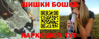 гашик Камышлов