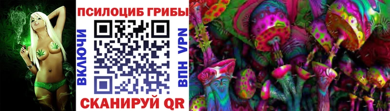 darknet наркотические препараты  Надым  Галлюциногенные грибы Magic Shrooms 