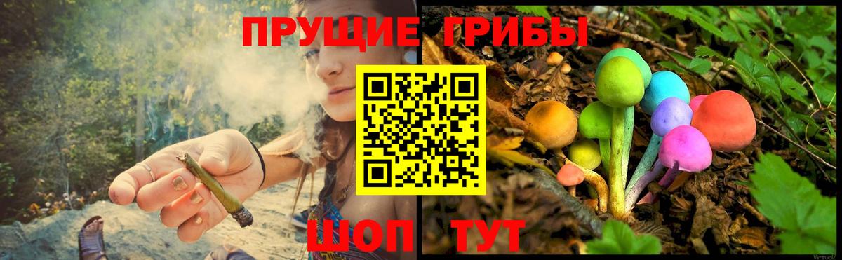 Надым  Галлюциногенные грибы Psilocybine cubensis  Вход с VPN 