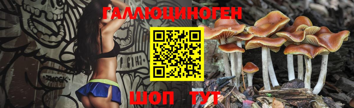 Псилоцибиновые грибы Magic Shrooms Надым
