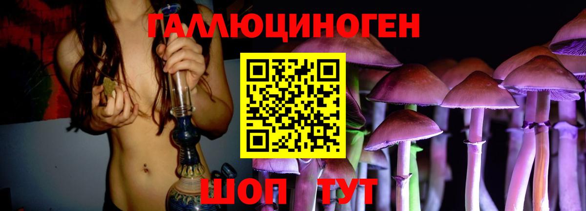 Галлюциногенные грибы Psilocybe  Надым  Галлюциногенные грибы Psilocybe 