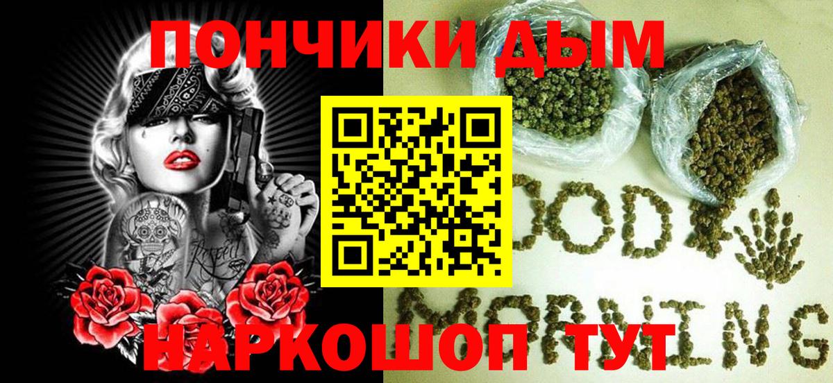 МАРИХУАНА сатива Надым